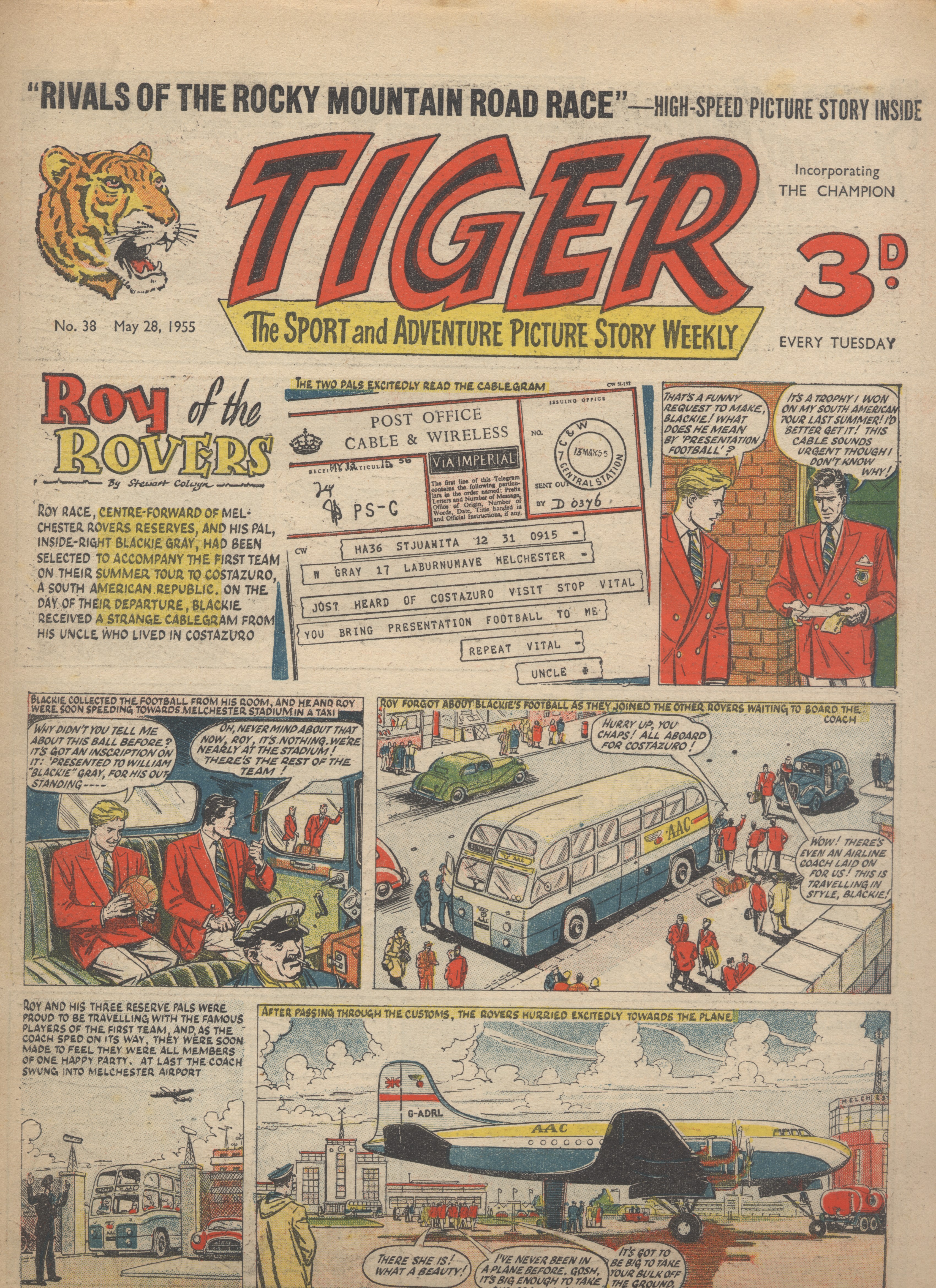Tiger